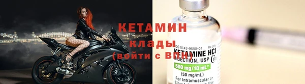 шишки Абаза