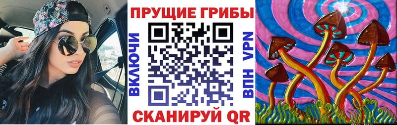 Псилоцибиновые грибы ЛСД  kraken как зайти  Сухиничи 